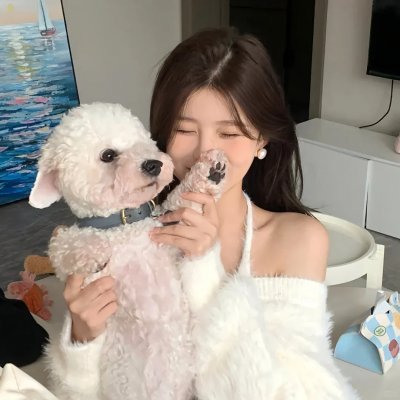 新还珠格格